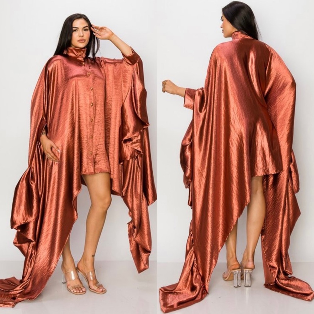 NEW SHOW STOPPER! Beautiful Rose-gold Dress/Top - Picture 3 of 4